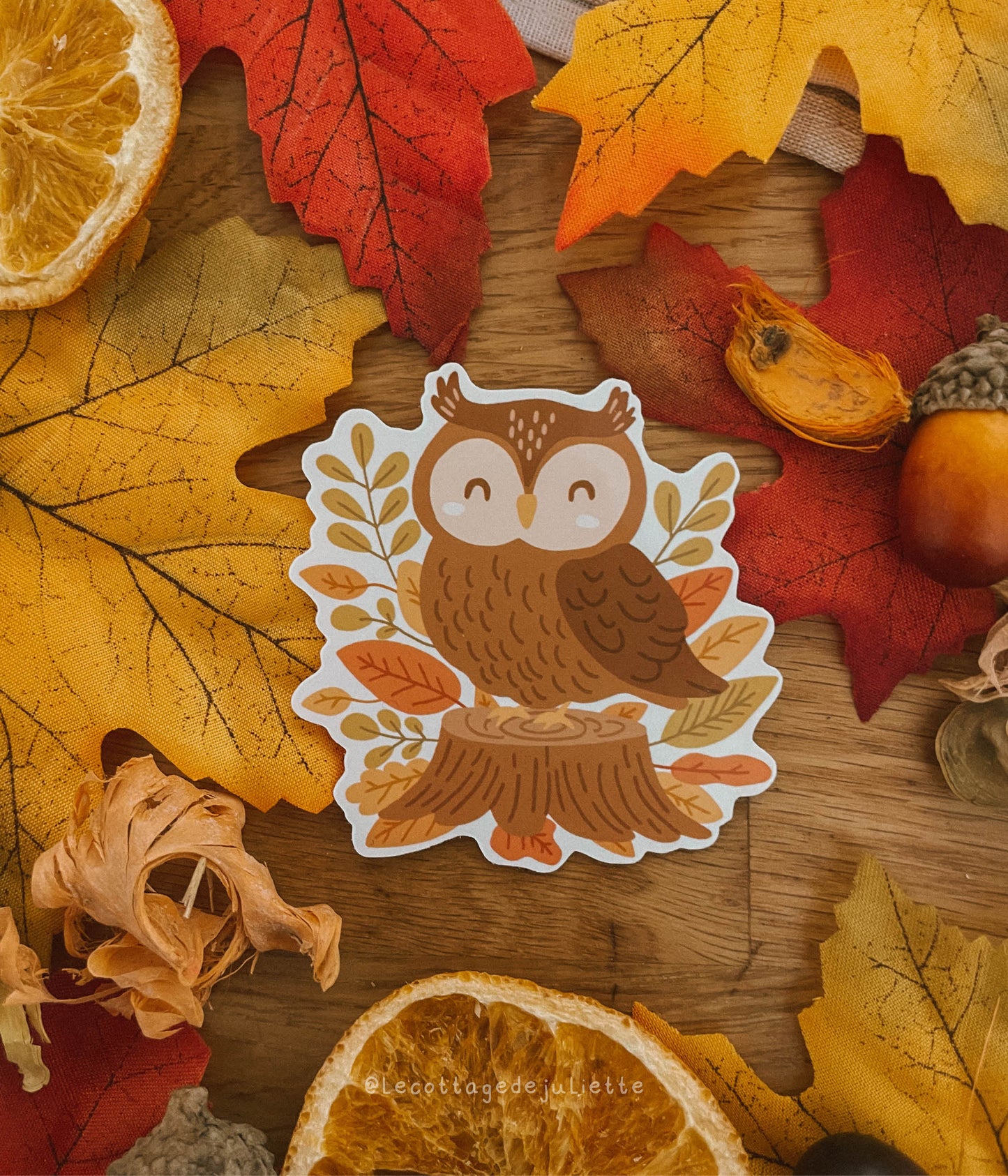 Sticker "Cute Autumn Owl"