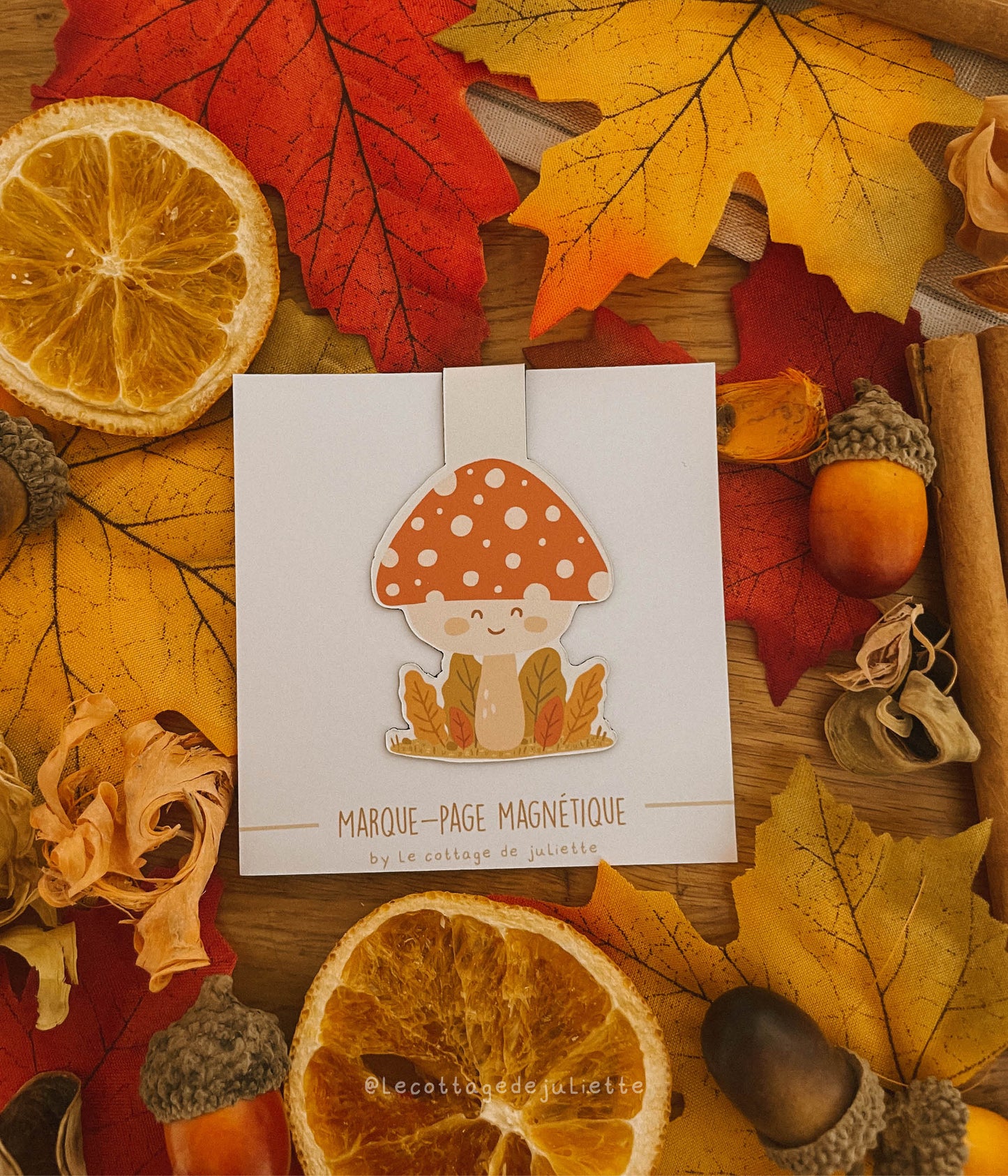 Marque-page magnétique "Cute mushroom"