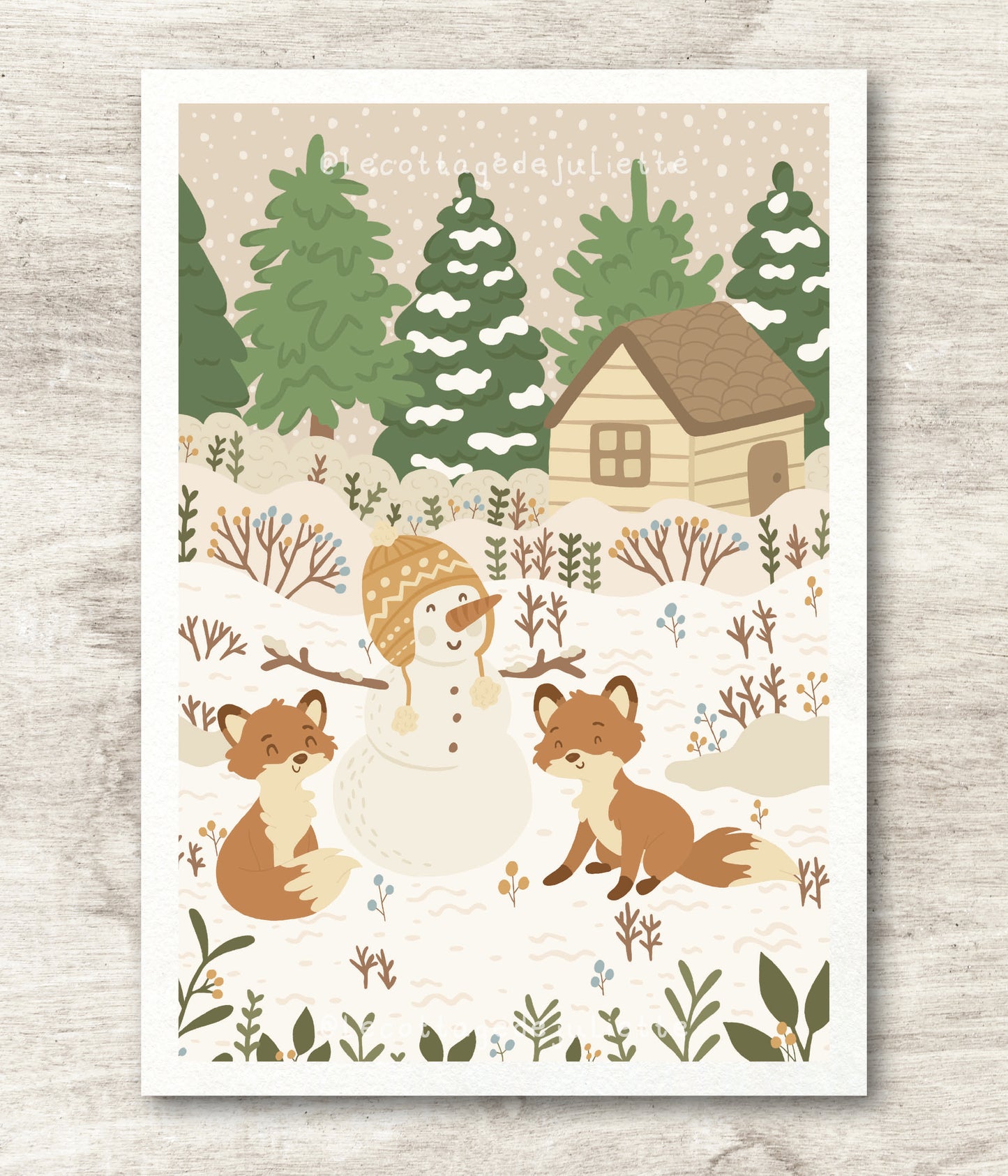 Illustration "L'hiver des renards"