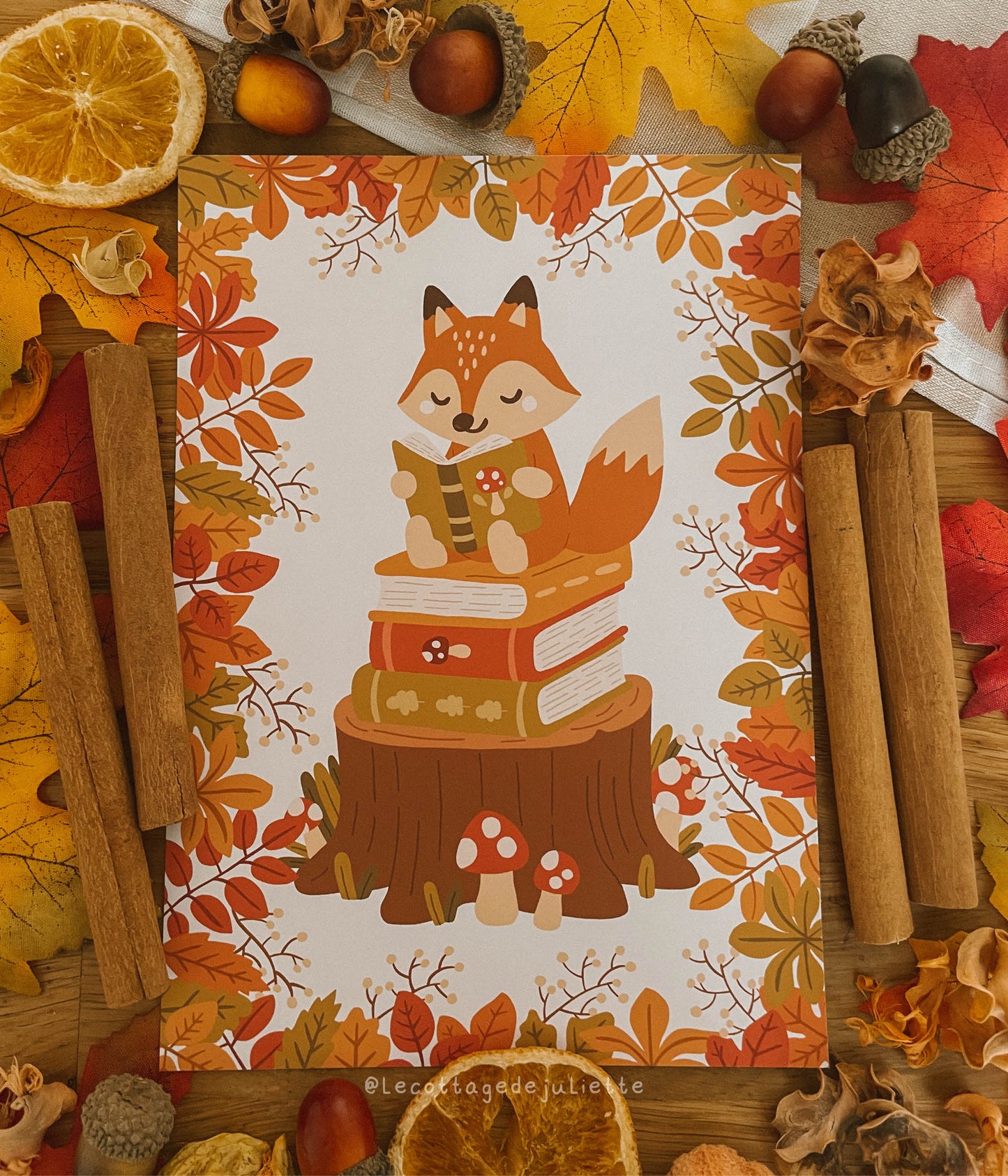 Illustration "Le moment lecture du renard"