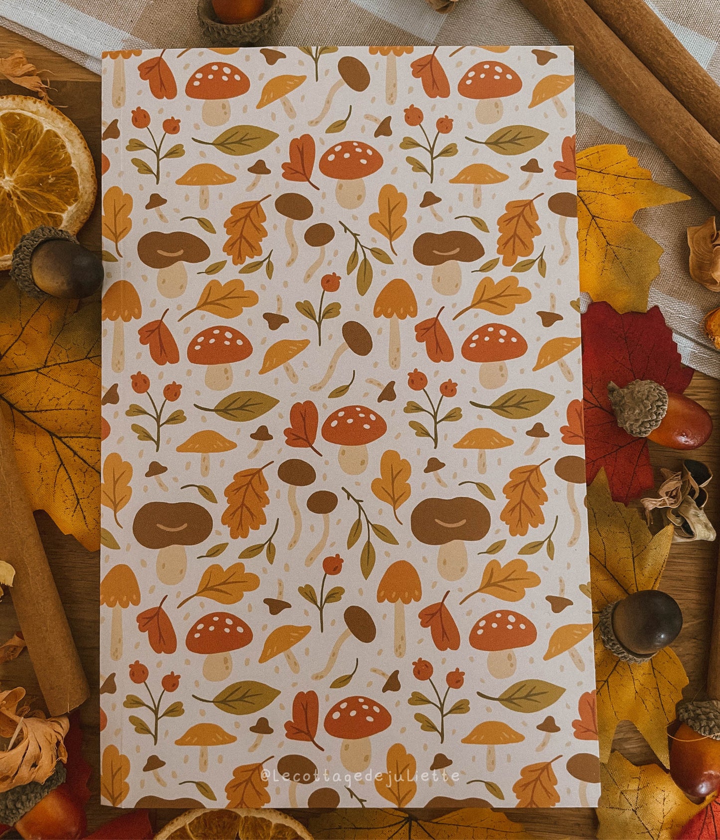 Carnet "Le paradis des champignons"