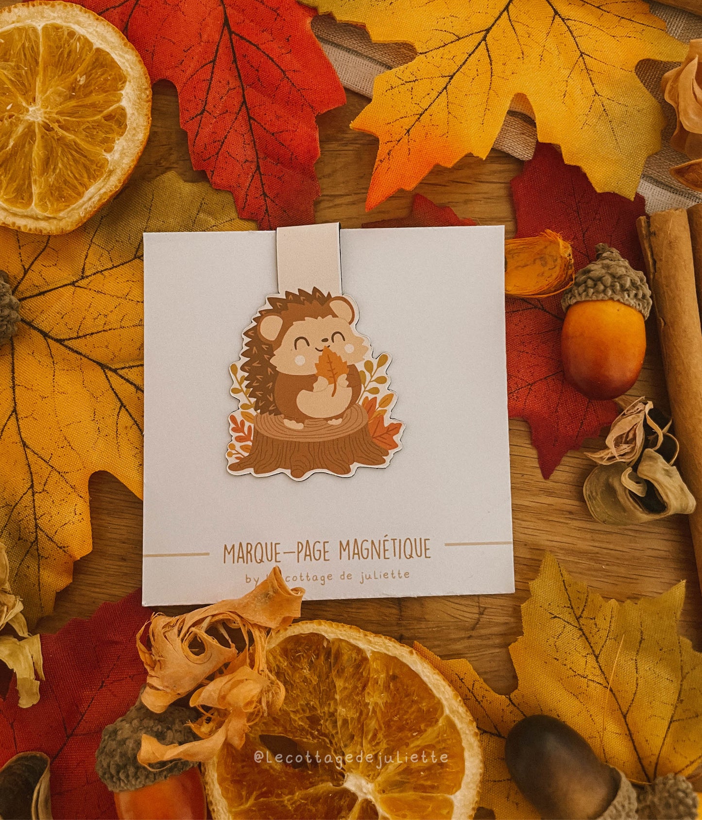 Marque-page magnétique "Le petit hérisson"