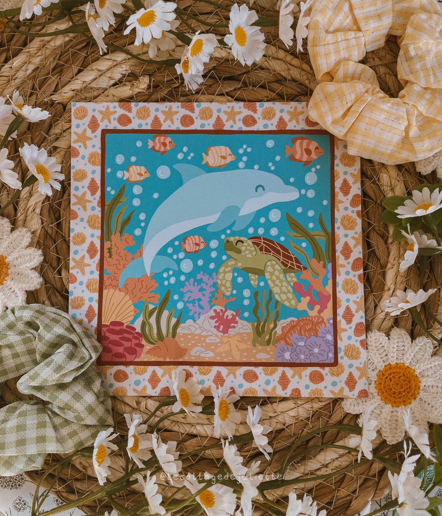 Illustration "Les animaux marins"