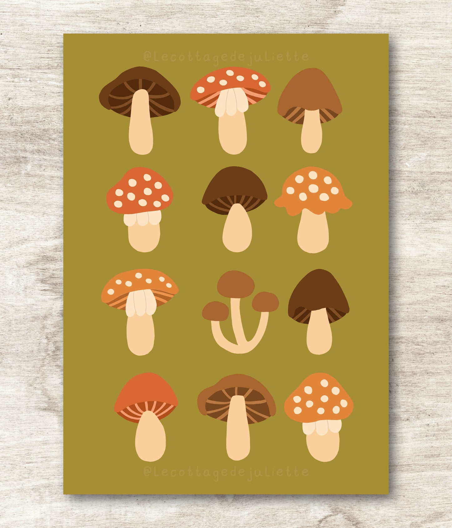 Illustration "Les champignons"