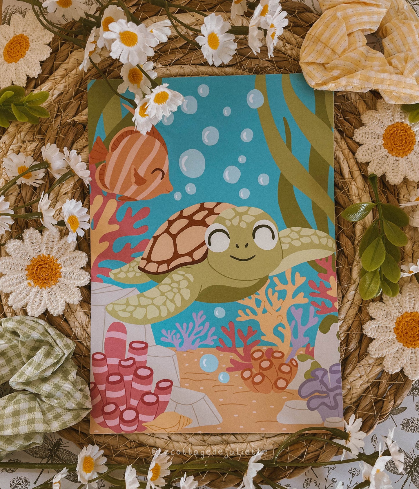 Illustration "Le voyage de la tortue"