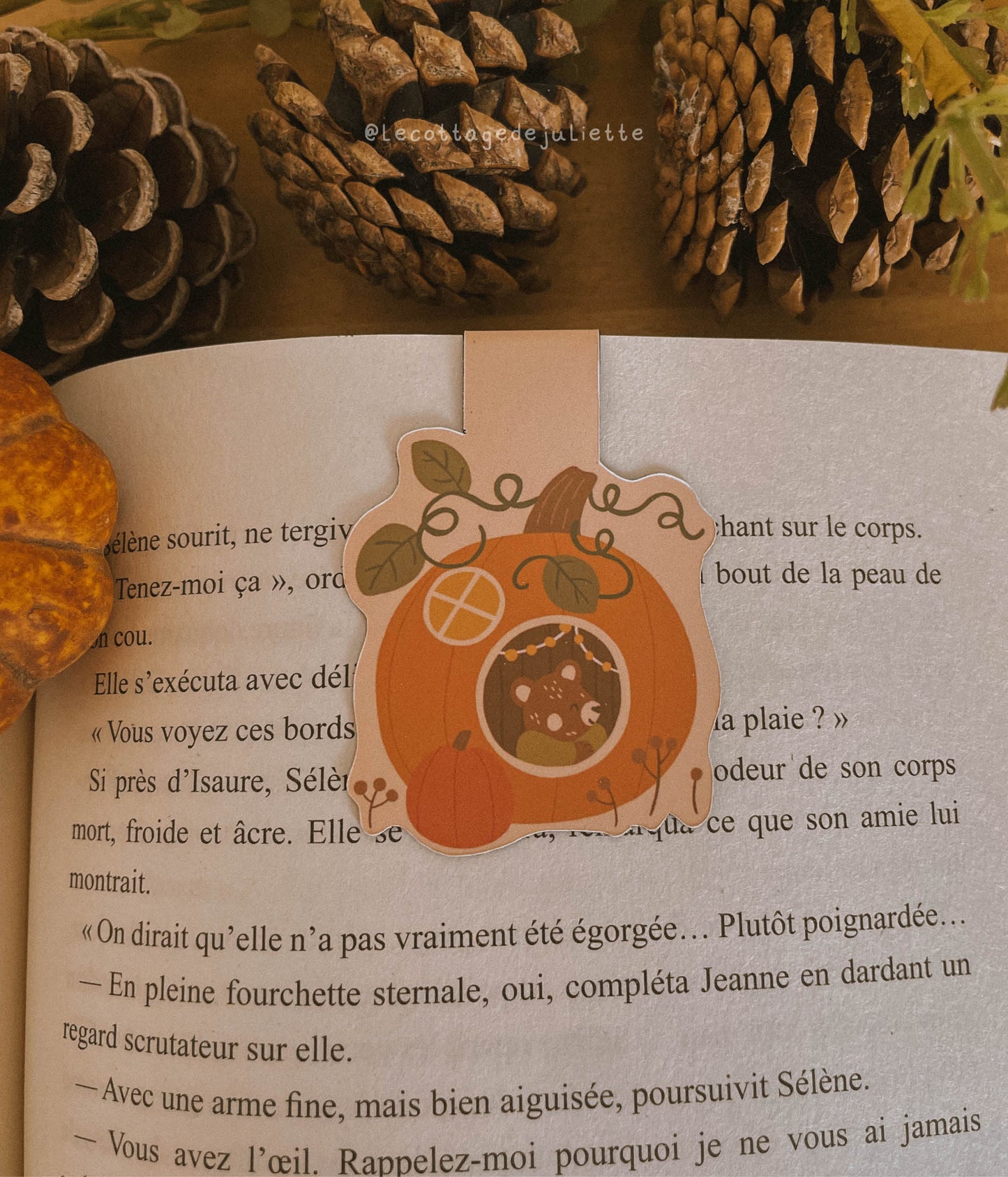 Marque-page magnétique "The Pumpkin House"