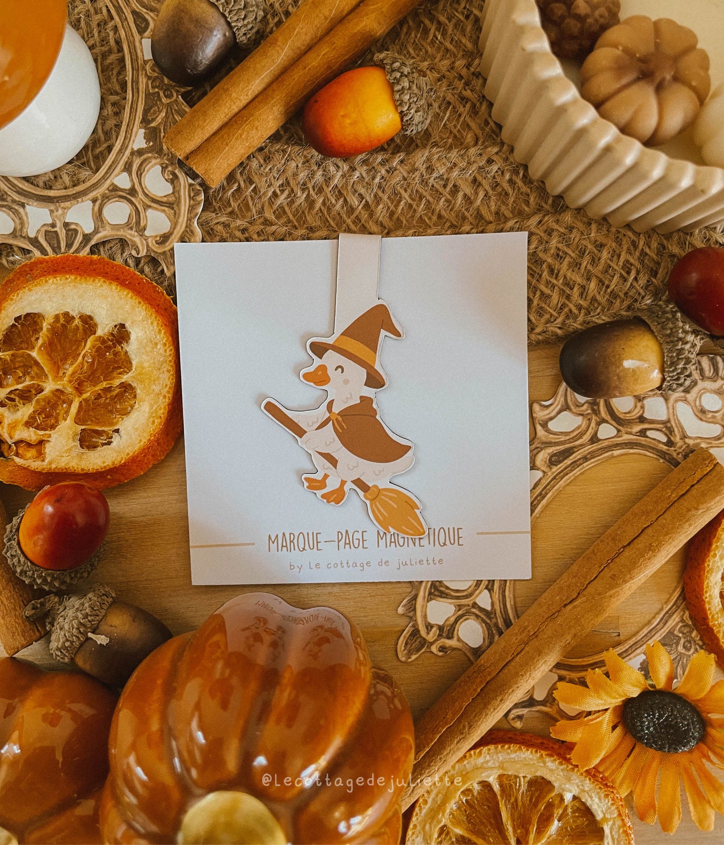Marque-page magnétique "The Witch Goose"