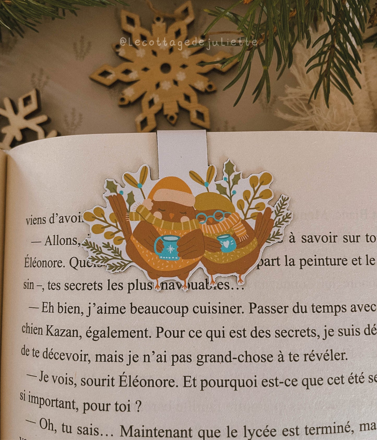 Marque-page magnétique "Winter Cozy Birds"
