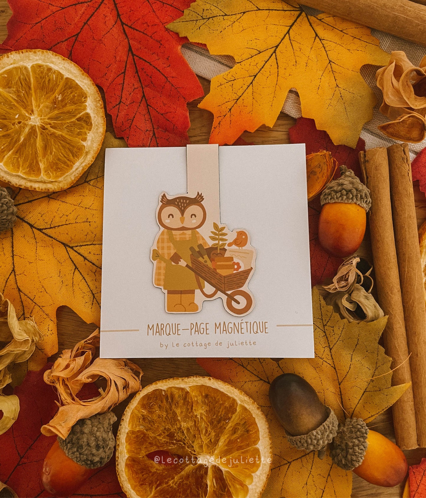 Marque-page magnétique "Jardinage d'automne"