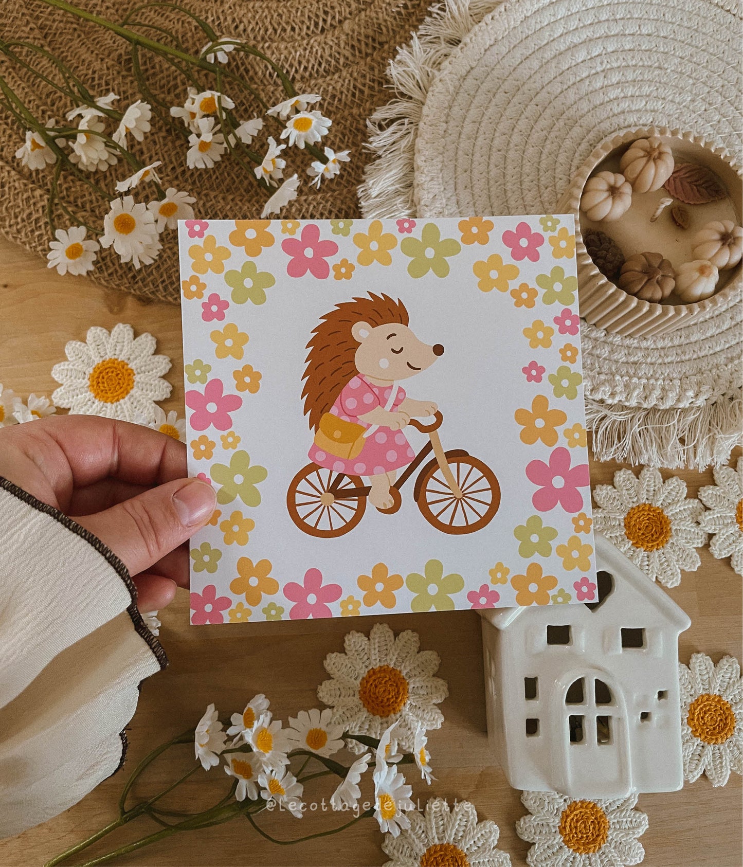 Illustration "La balade à vélo de l'hérisson"