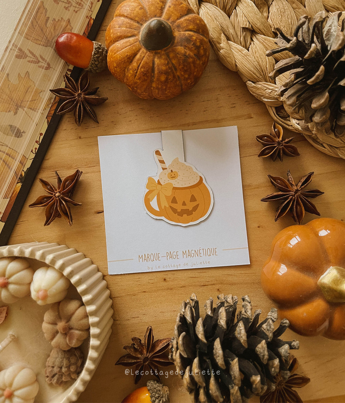 Marque-page magnétique "La boisson d'Halloween"