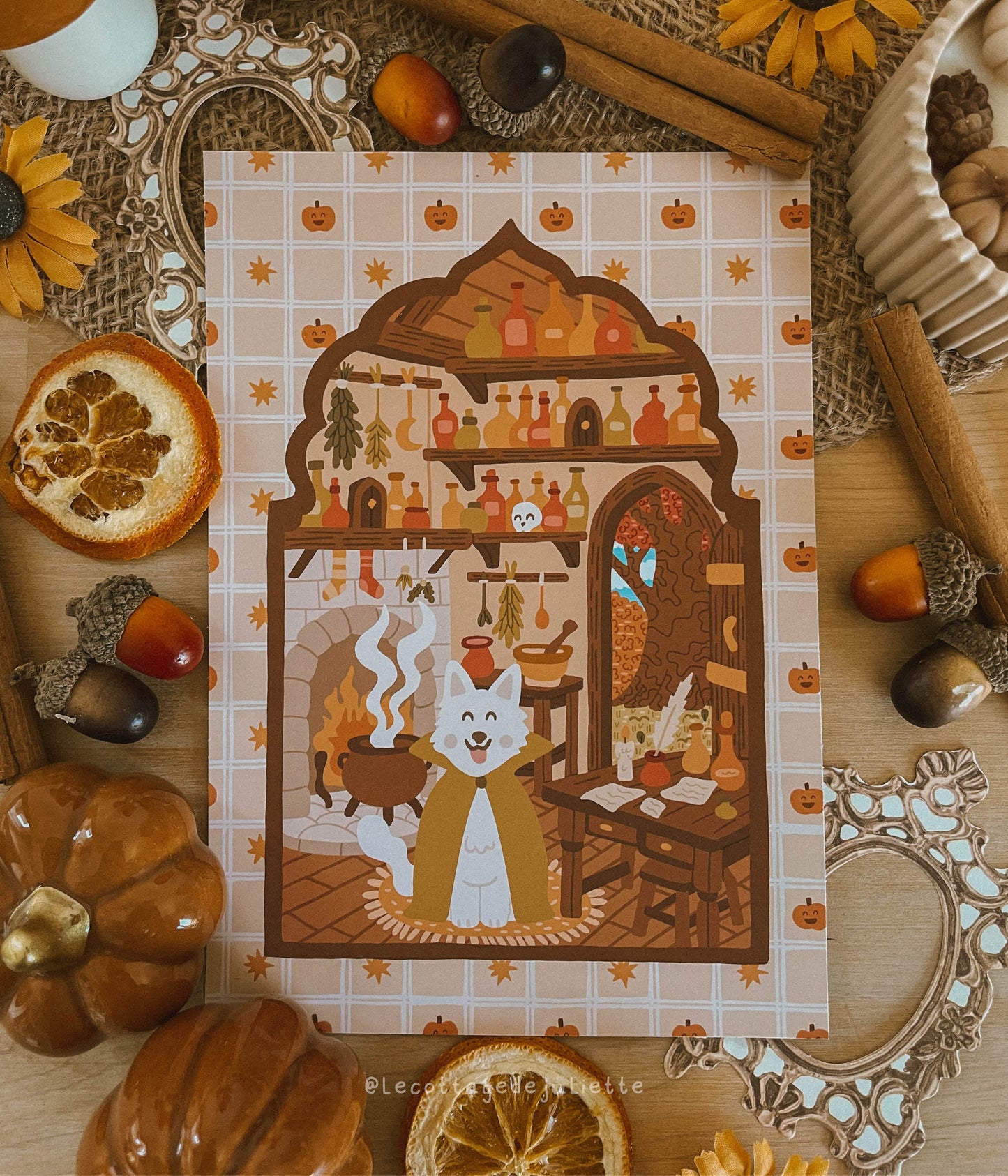 Illustration "La boutique de potions"