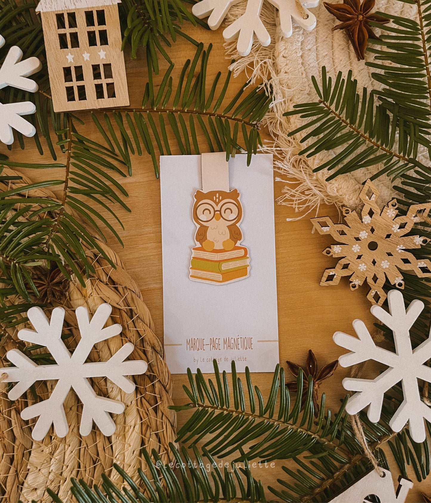 Marque-page magnétique "Le hibou lecteur"