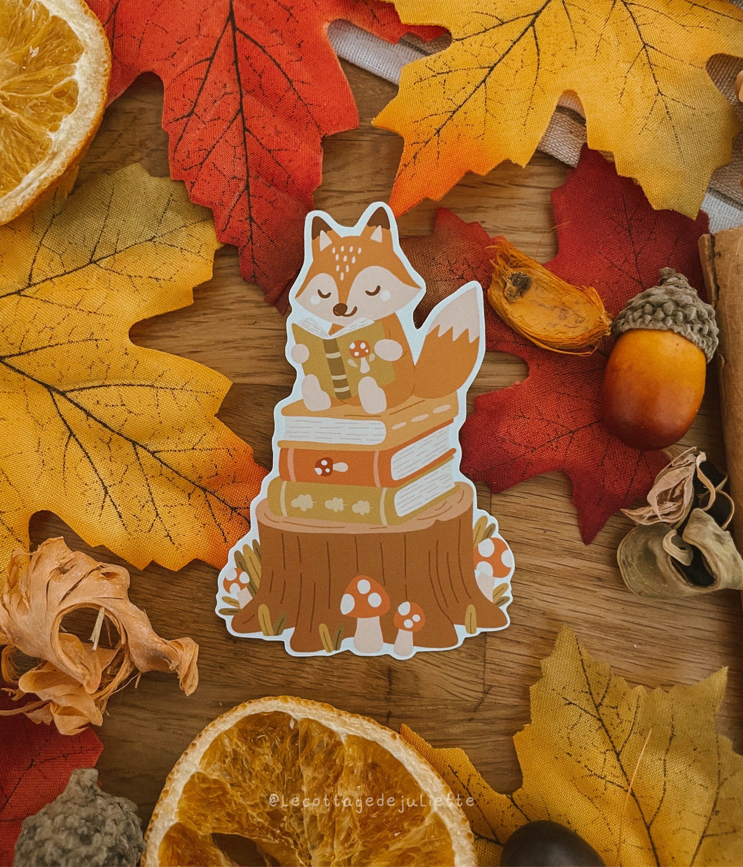 Sticker "Le moment lecture du renard"
