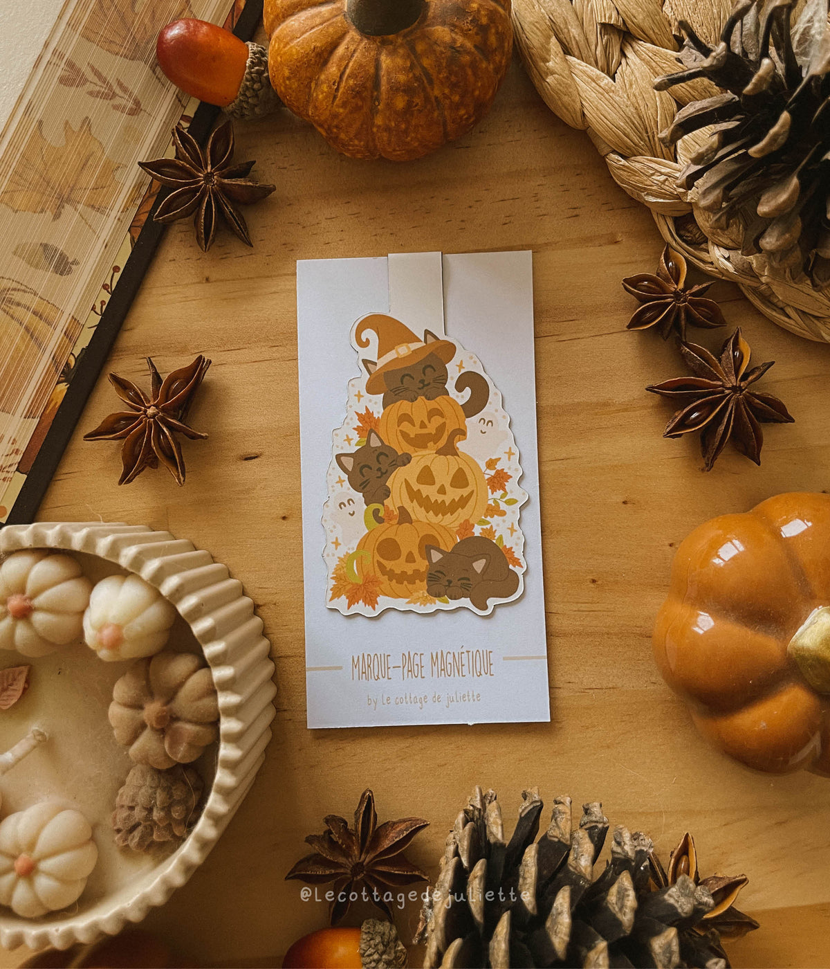 Marque-page magnétique "Pumpkins and cats"