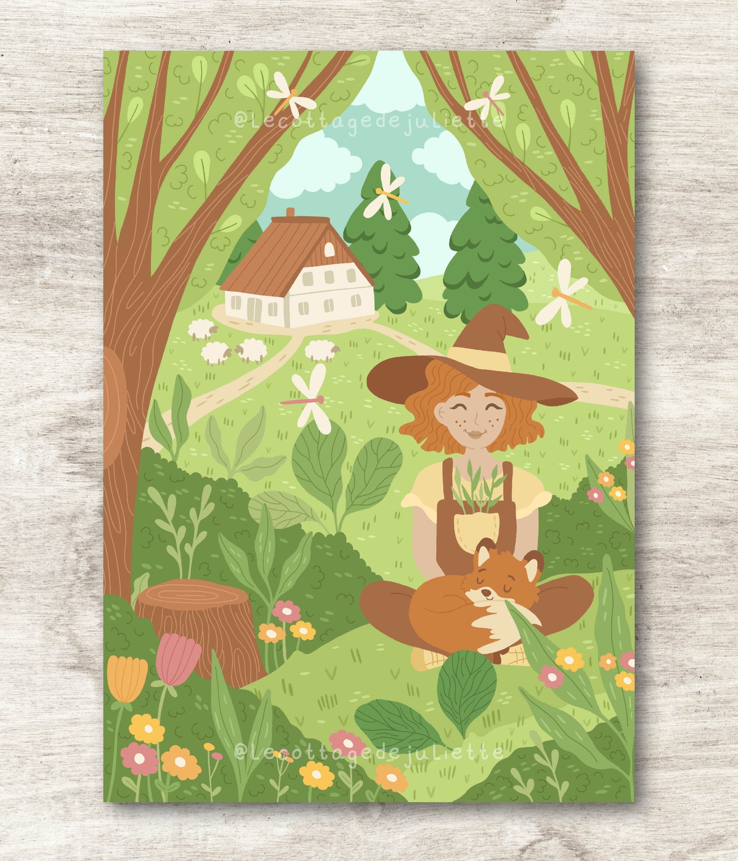 Illustration "The enchanted forest"