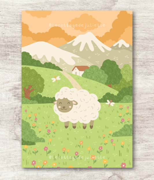 Illustration "The sheep meadow"